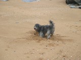 07 Florian in Frankereich im Urlaub 2007
Im Sand buddeln macht Spass