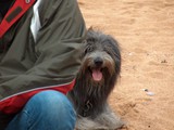 12 Florian in Frankereich im Urlaub 2007
Florian kann das Meer nicht leiden