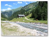 17 Urlaub 2010 im Allgäu
die Breitgehren Alpe