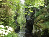 Urlaub im Schwarzwald 2015 (13)
Wutachschlucht