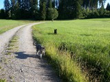 Urlaub im Schwarzwald 2015 (8)